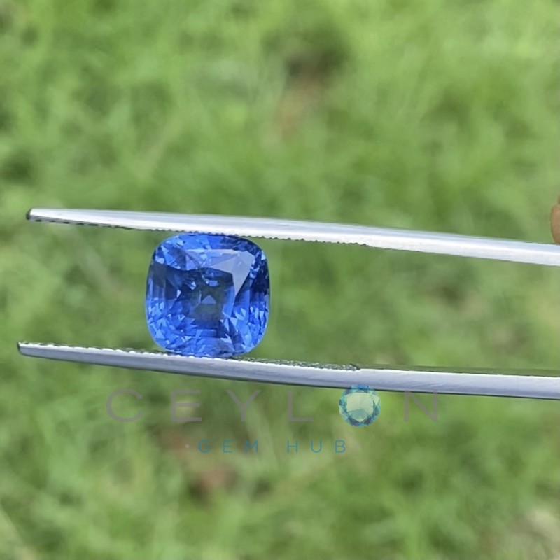 Blue Sapphire Natural - 5.52 Cts