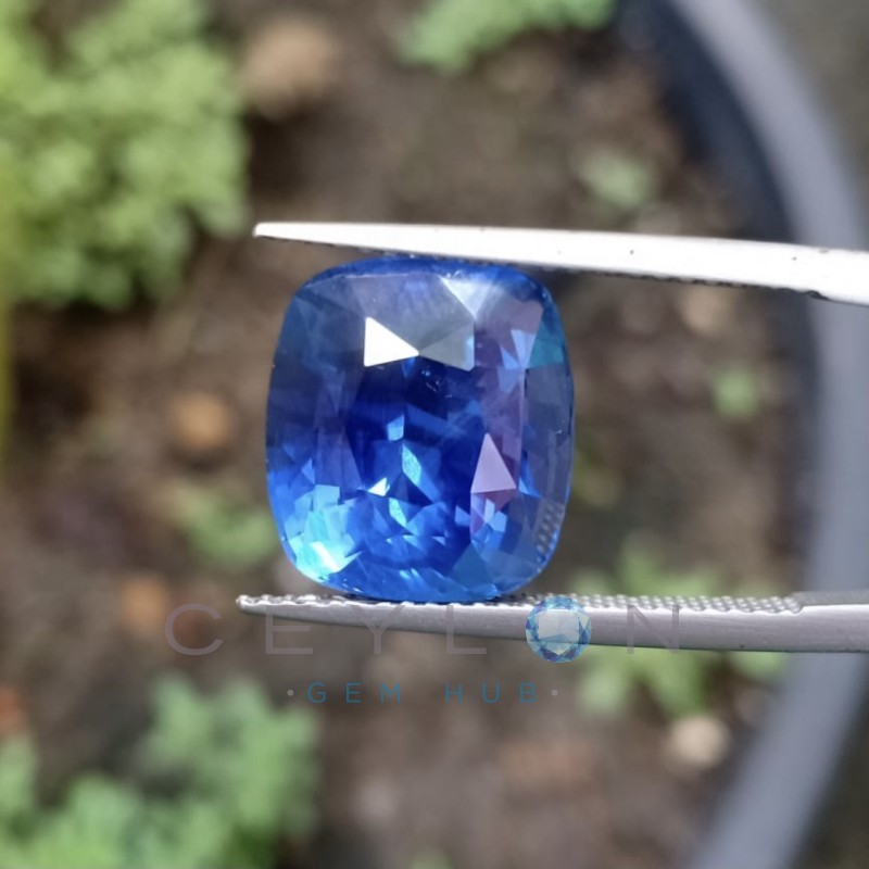 Blue Sapphire Natural - 10.5 Cts